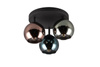 SHELDON R61303017