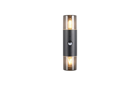 HOOSIC - CZUJNIK RUCHU 222260232