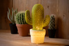 CACTUS 13513/01/33