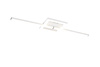 VIALE R67303131