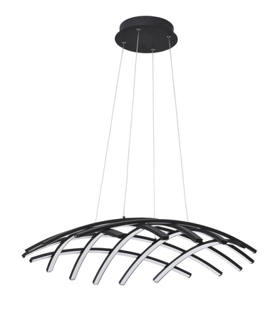CATIA LE41599