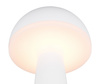 FUNGO R57716131
