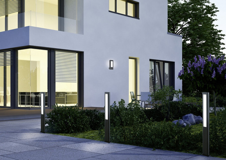 RHINE 221660242
