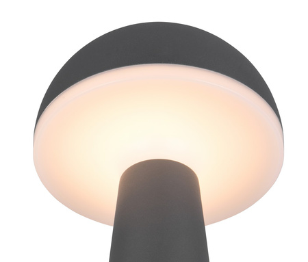 FUNGO R57716142