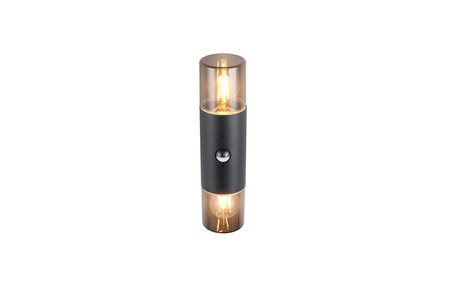 HOOSIC - CZUJNIK RUCHU 222260232