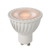 LED BULB 49010/05/31