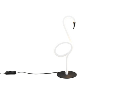 INGO R54581131