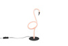 INGO R54581193
