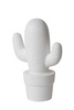 CACTUS 13513/01/31