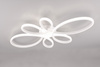 FLY 645619131