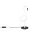 INGO R54581131