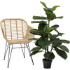 KARE roślina dekoracyjna FIDDLE LEAF 120  cm