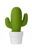 CACTUS 13513/01/33