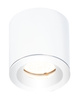 MAXLIGHT C0215 LAMPA SUFITOWA FORM BIAŁA GU10 IP65