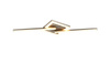 VIALE R67303107