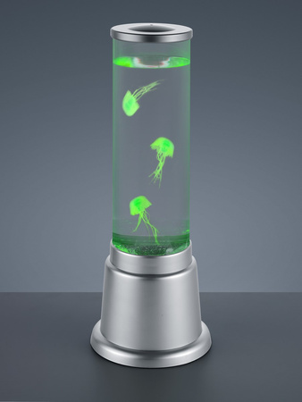 JELLY R50701187