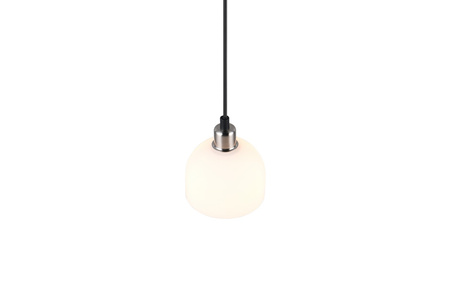 MOLLY R31861007