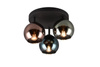 SHELDON R61303017