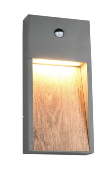 SALMON - CZUJNIK RUCHU 246969135