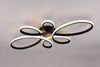 FLY 645619132