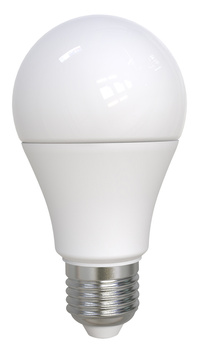 BULB 987-260