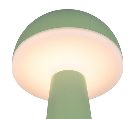 FUNGO R57716149