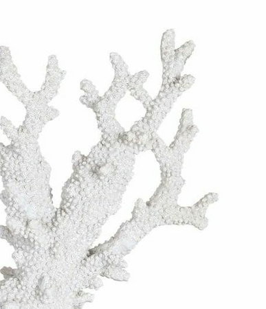 RICHMOND dekoracja KORALOWIEC ADAM biała