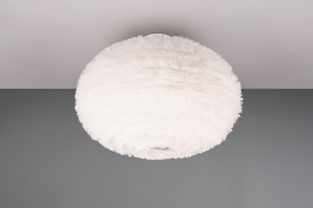 FURRY R61582001