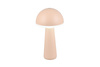 FUNGO R57716166