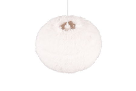 FURRY R31581901