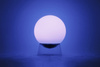 GLOBE 8500403012