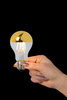 LED BULB 49020/05/10