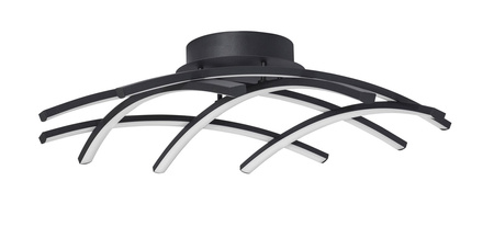 CATIA LE41600