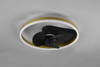 BORGHOLM R67083132