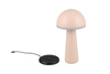 FUNGO R57716166