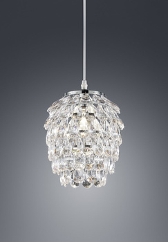 PETTY R30451006