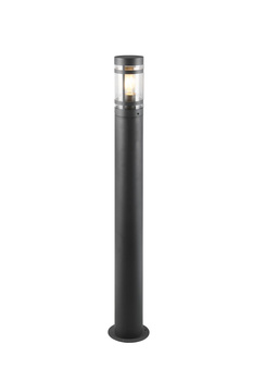 PALOMA R41716142