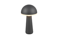 FUNGO R57716142