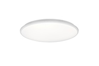 LIMBUS R67021931