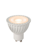 LED BULB 49010/05/31